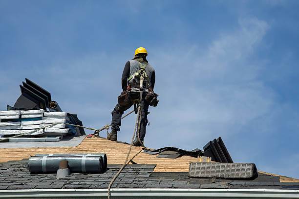 Professional Gutter Installation technician working in Egypt, AL